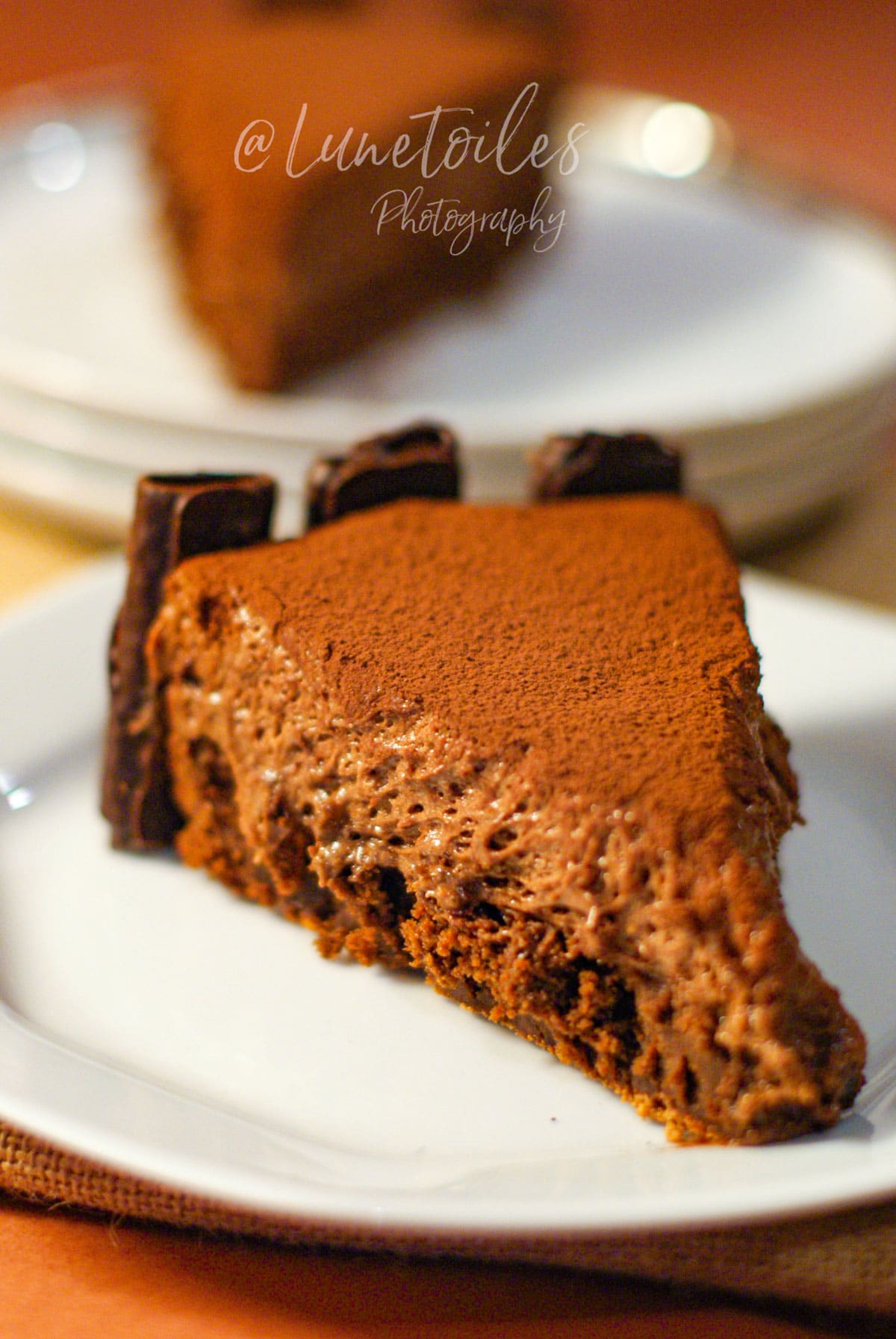 Part de gâteau au chocolat sans farine et sans gluten, à la texture mousseuse et fondante, saupoudrée de cacao, décorée de rouleaux de chocolat sur le bord, servie sur une assiette blanche.