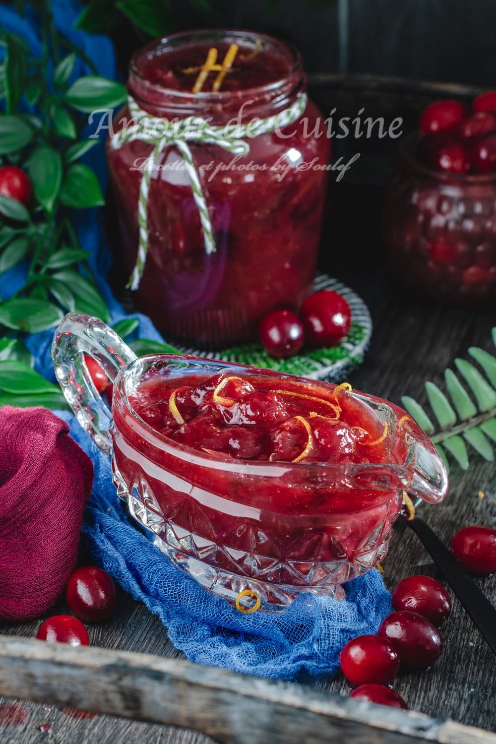 cranberry sauce ou sauce aux canneberges