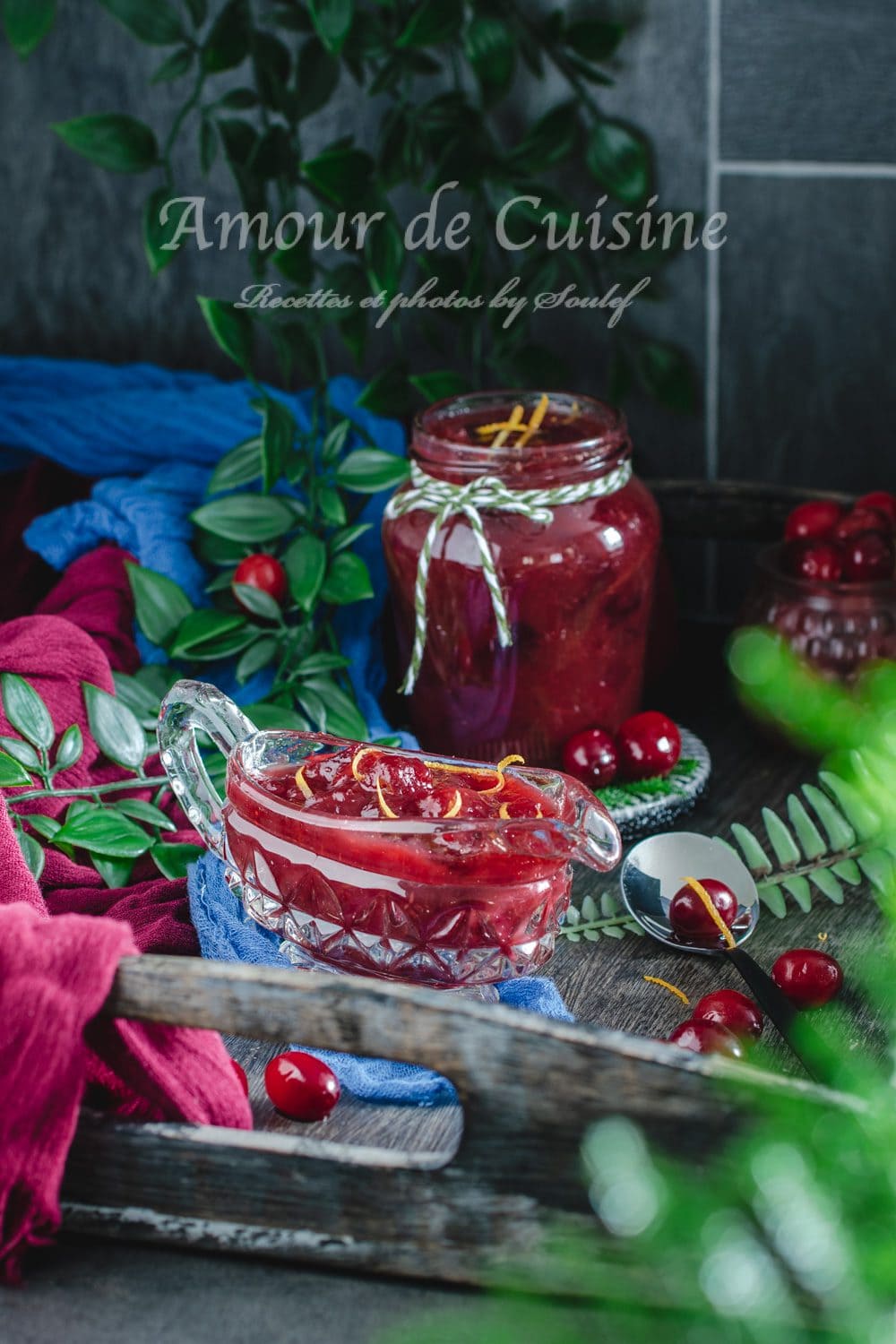 cranberry sauce ou sauce aux canneberges