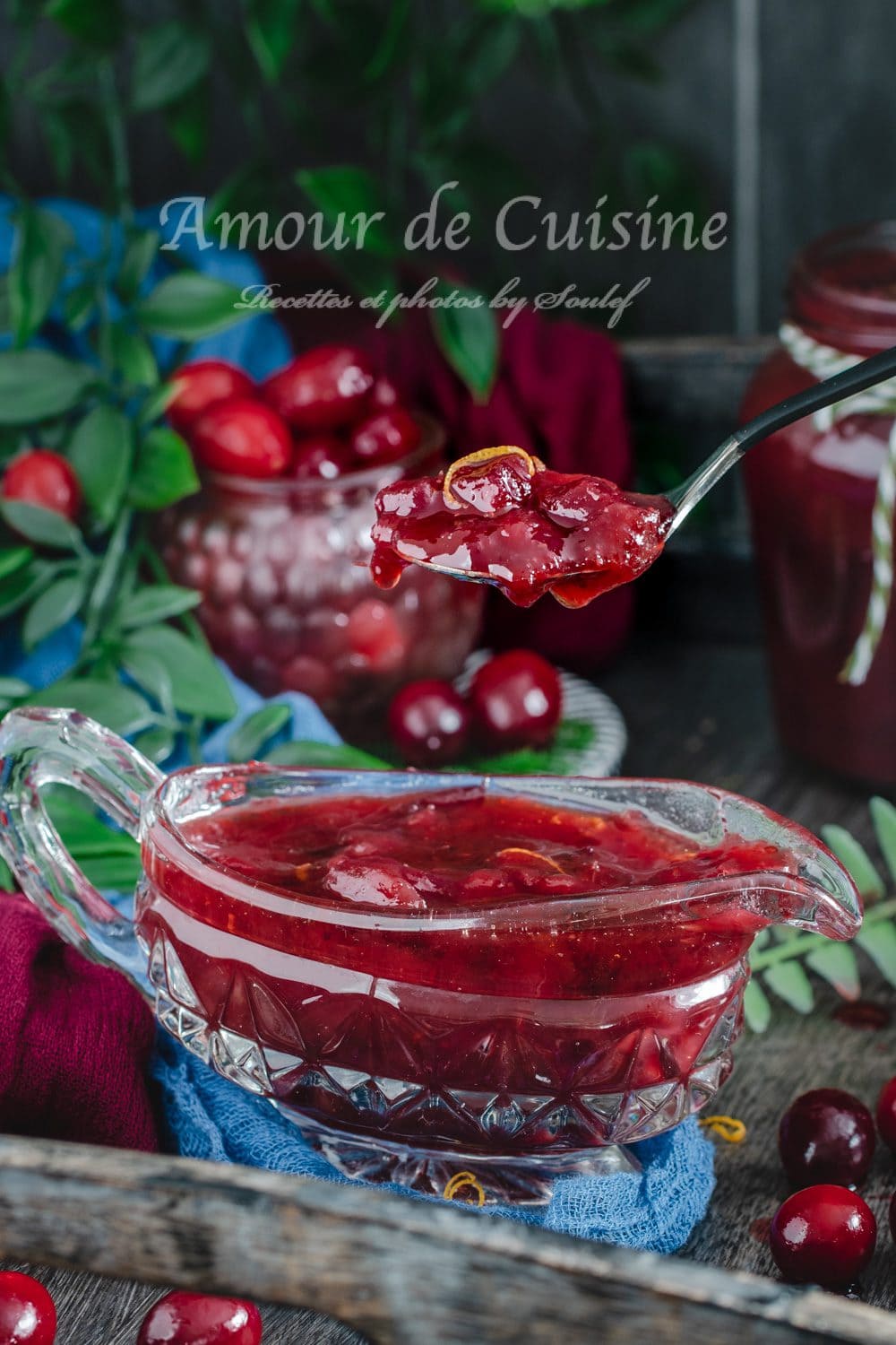 cranberry sauce ou sauce aux canneberges