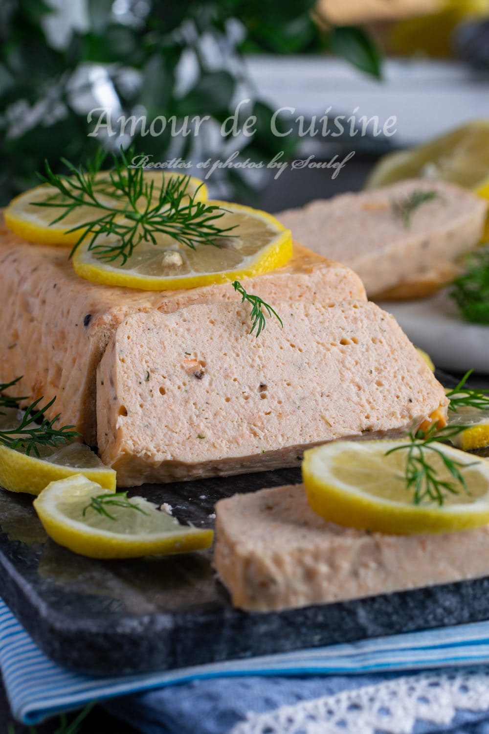 Terrine de saumon frais rapide : la meilleure recette