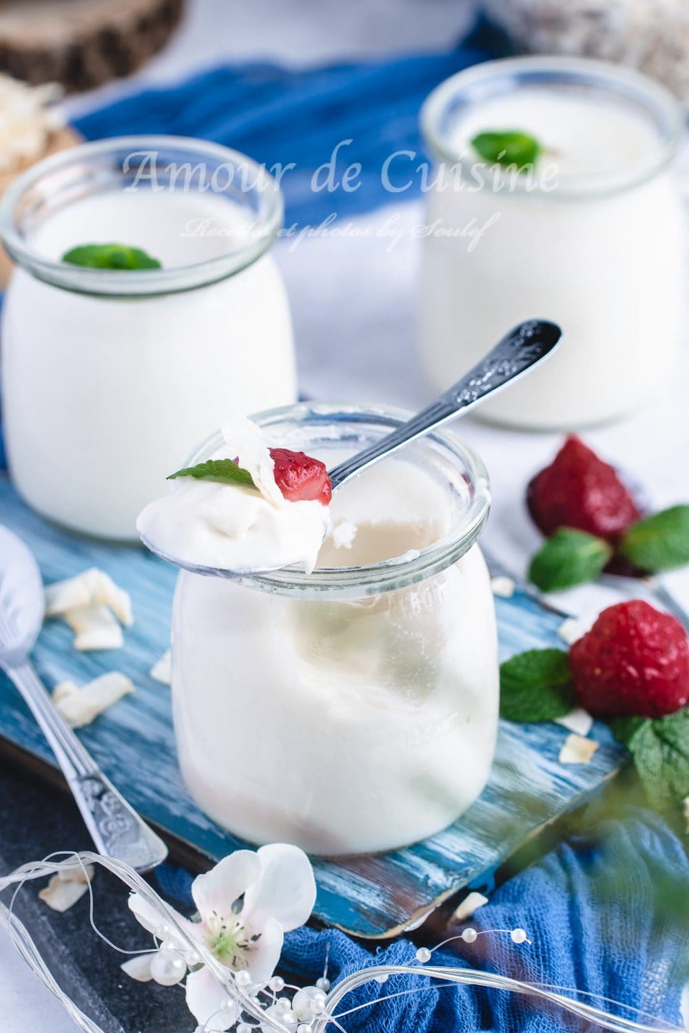 yaourt au lait de coco maison