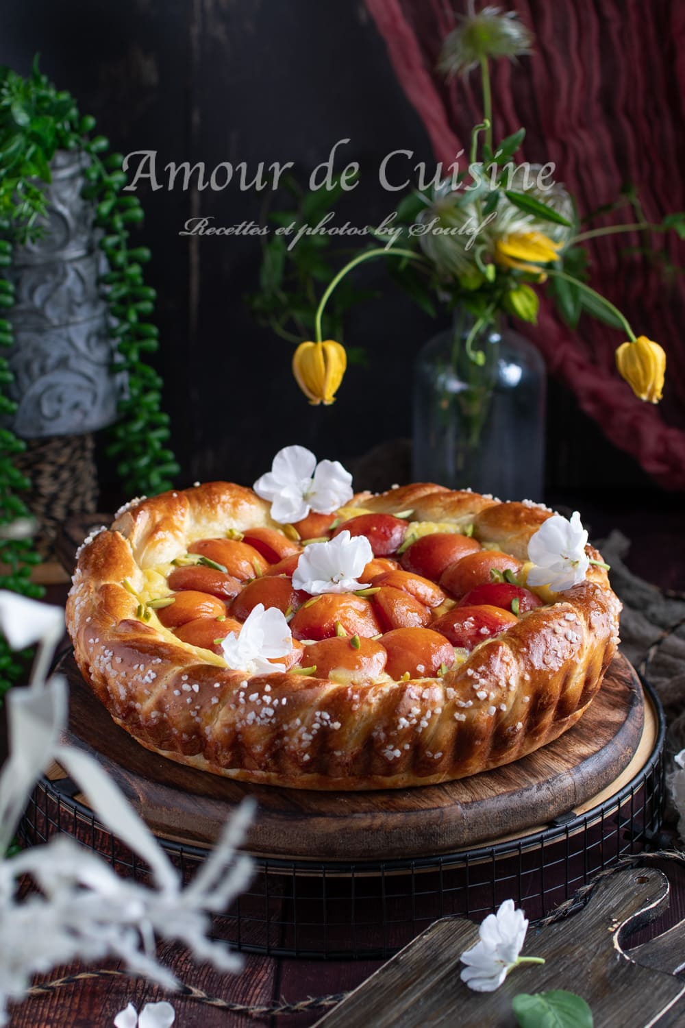 tarte briochée aux abricots