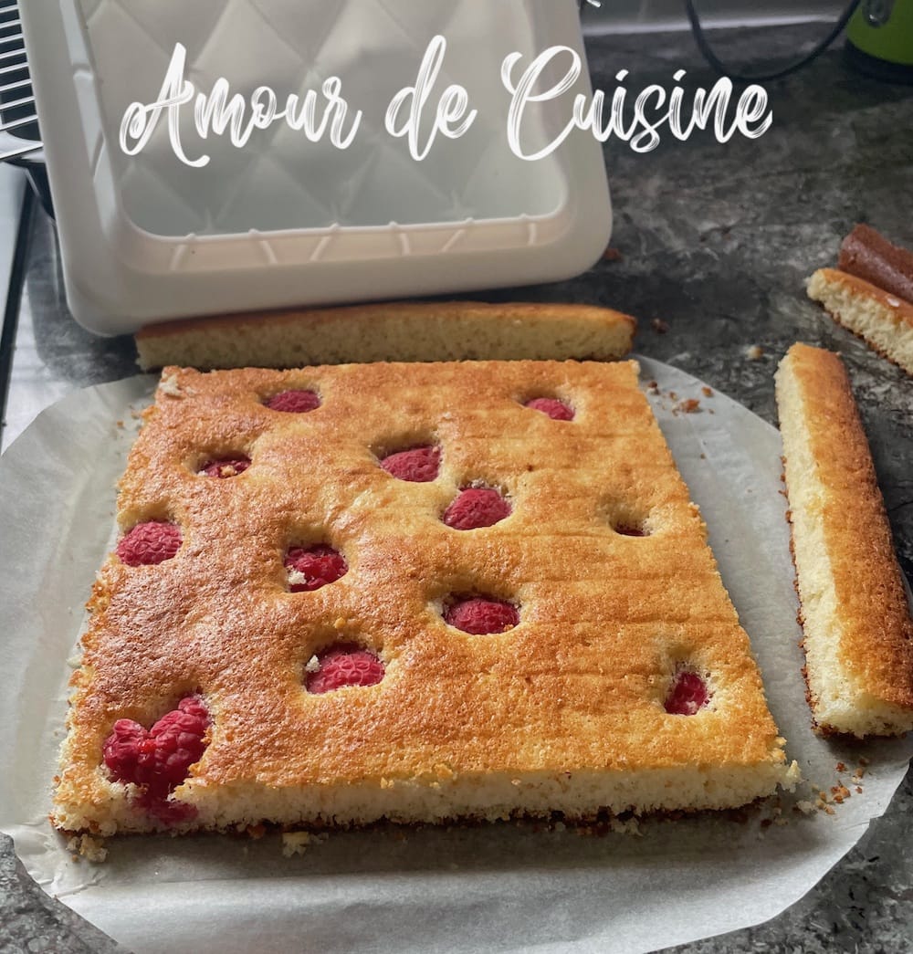 tailler le biscuit à la forme du moule