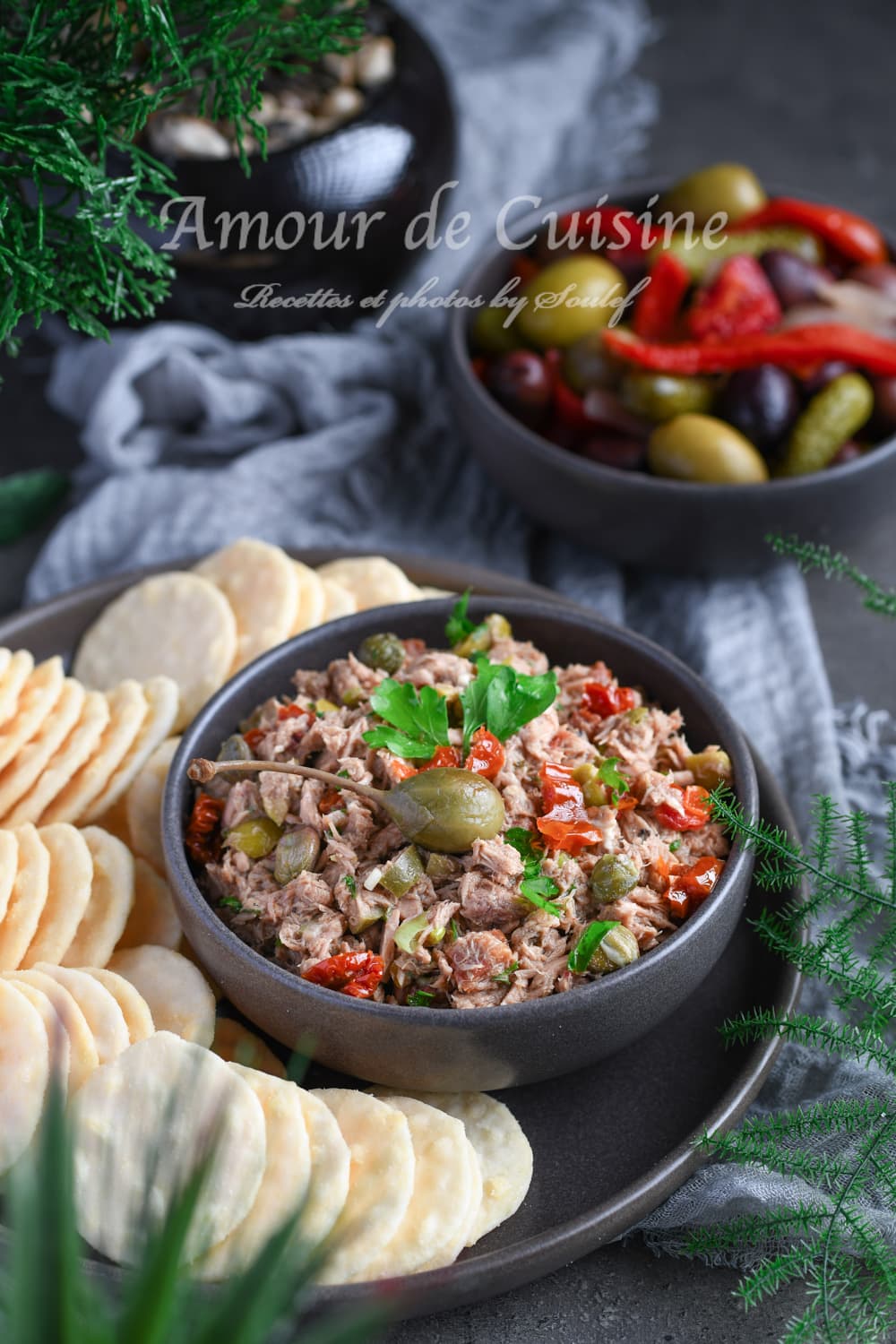 Tartinade au thon à la Méditerranéenne (dip) 