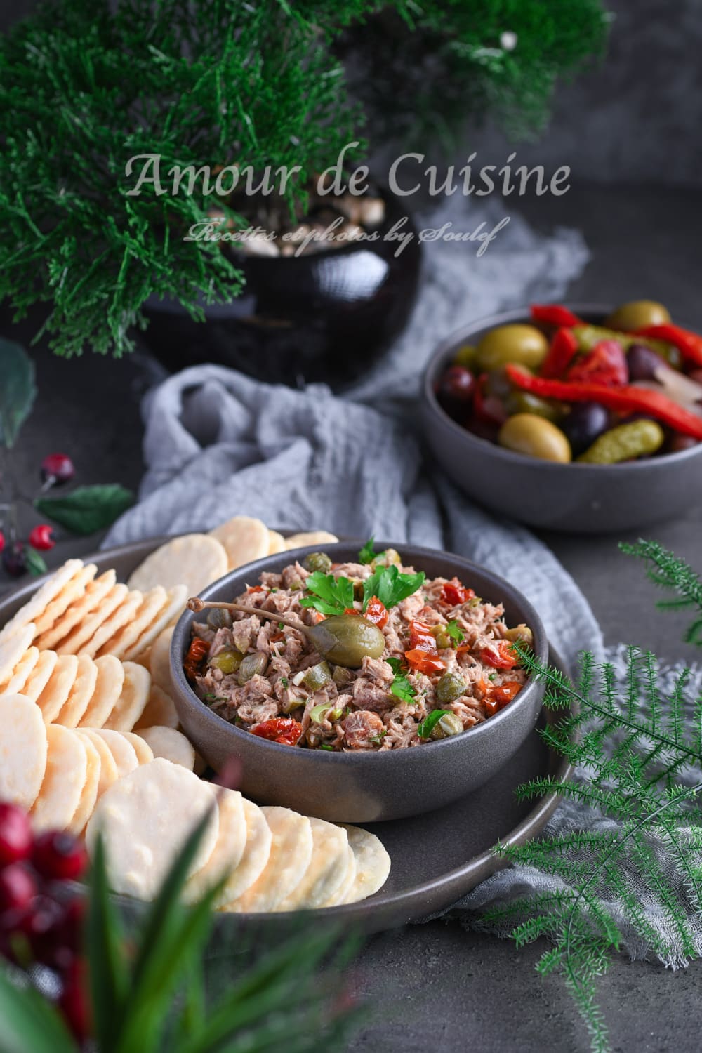 Tartinade au thon à la Méditerranéenne (dip) 