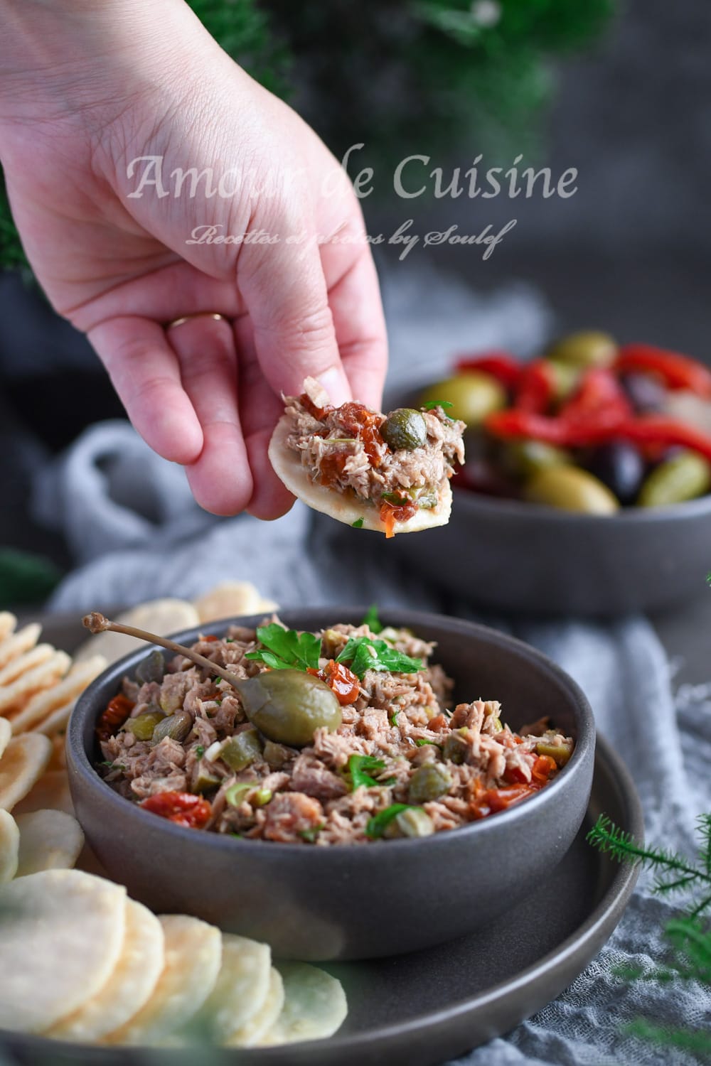 Tartinade au thon à la Méditerranéenne (dip) 