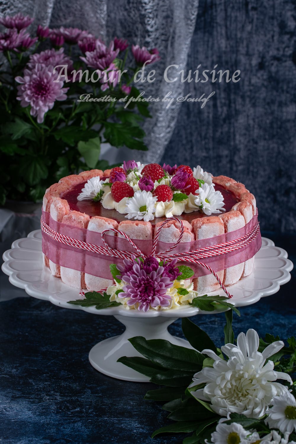 Recette de charlotte aux framboises facile au mascarpone et biscuits de Reims