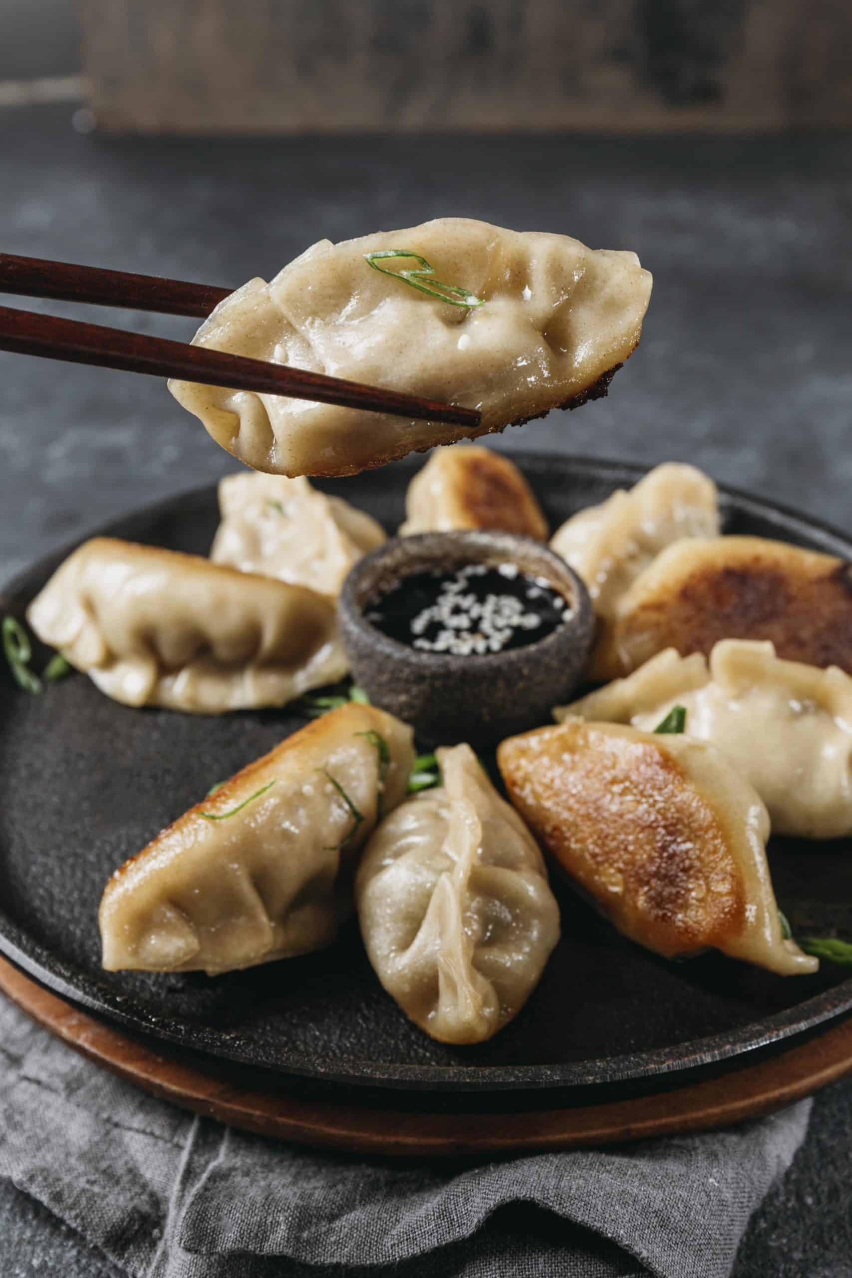 japanese dumplin, les gyoza