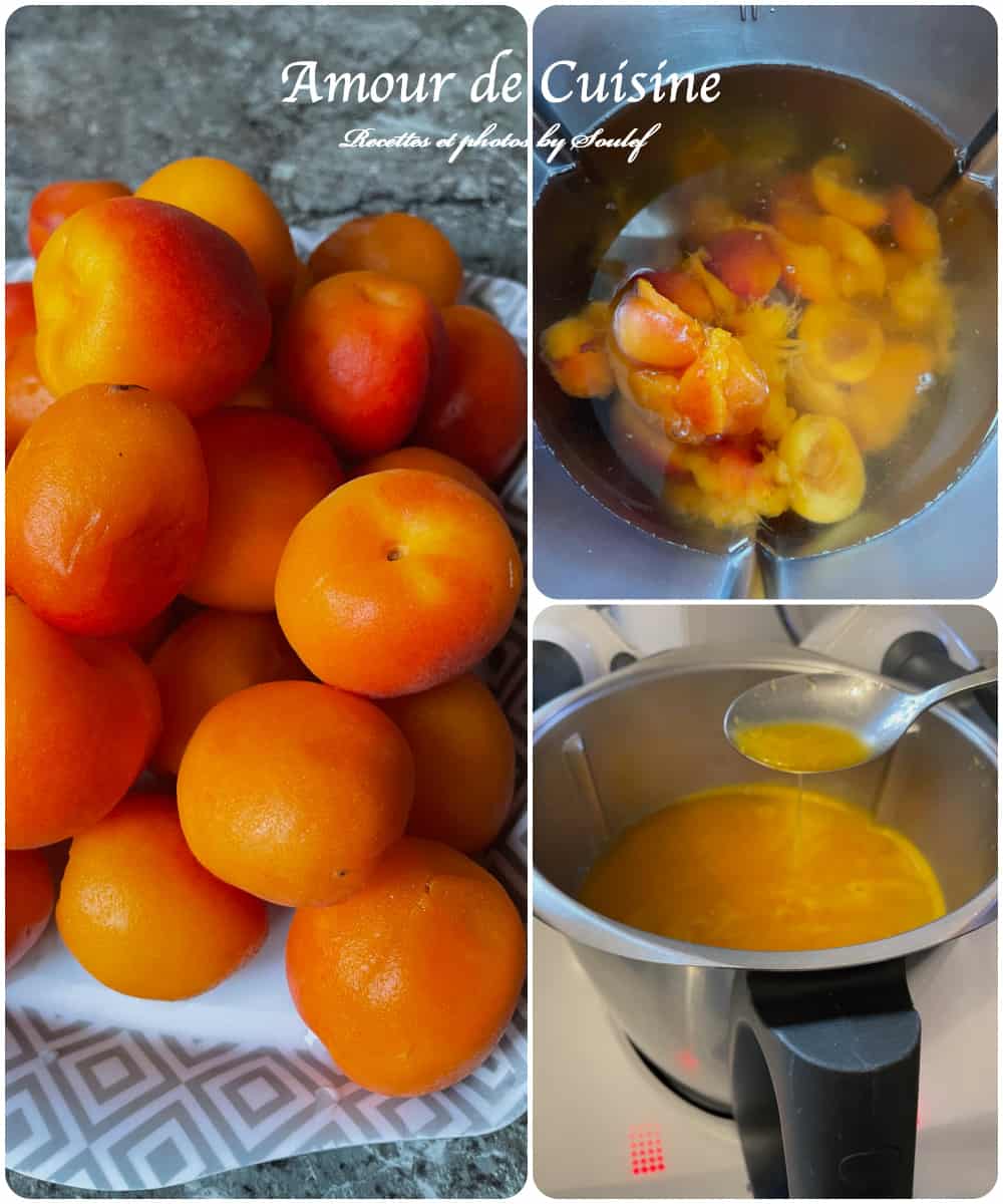 comment préparer jus d'abricots maison au Thermomix