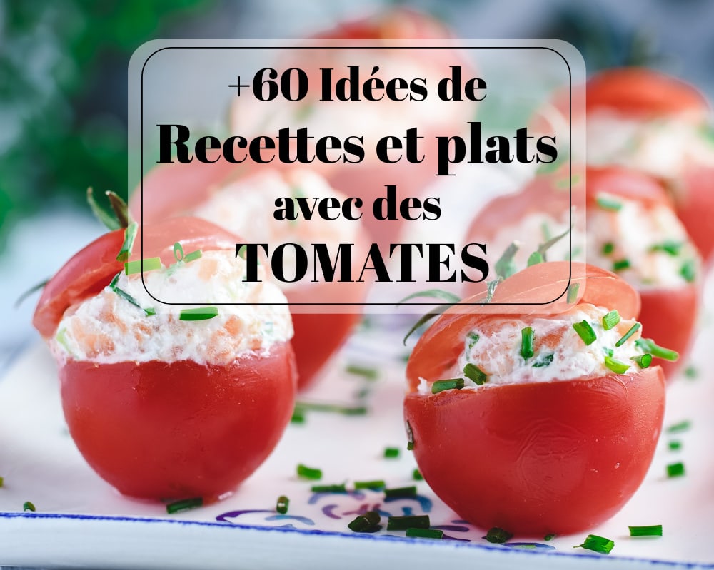 60 Idées recettes et plats avec des tomates