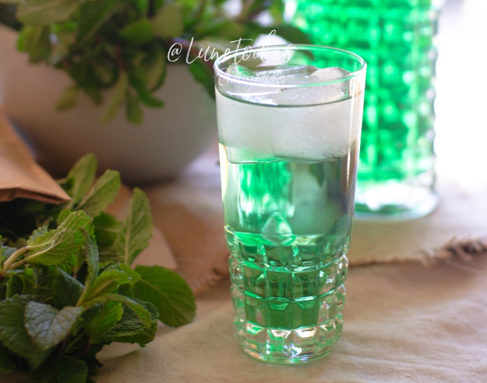 recette sirop de menthe maison