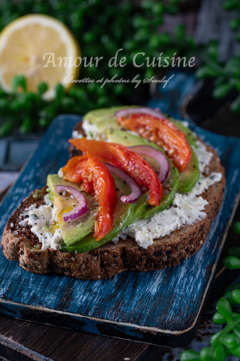 avocado toast au fromage et tomates