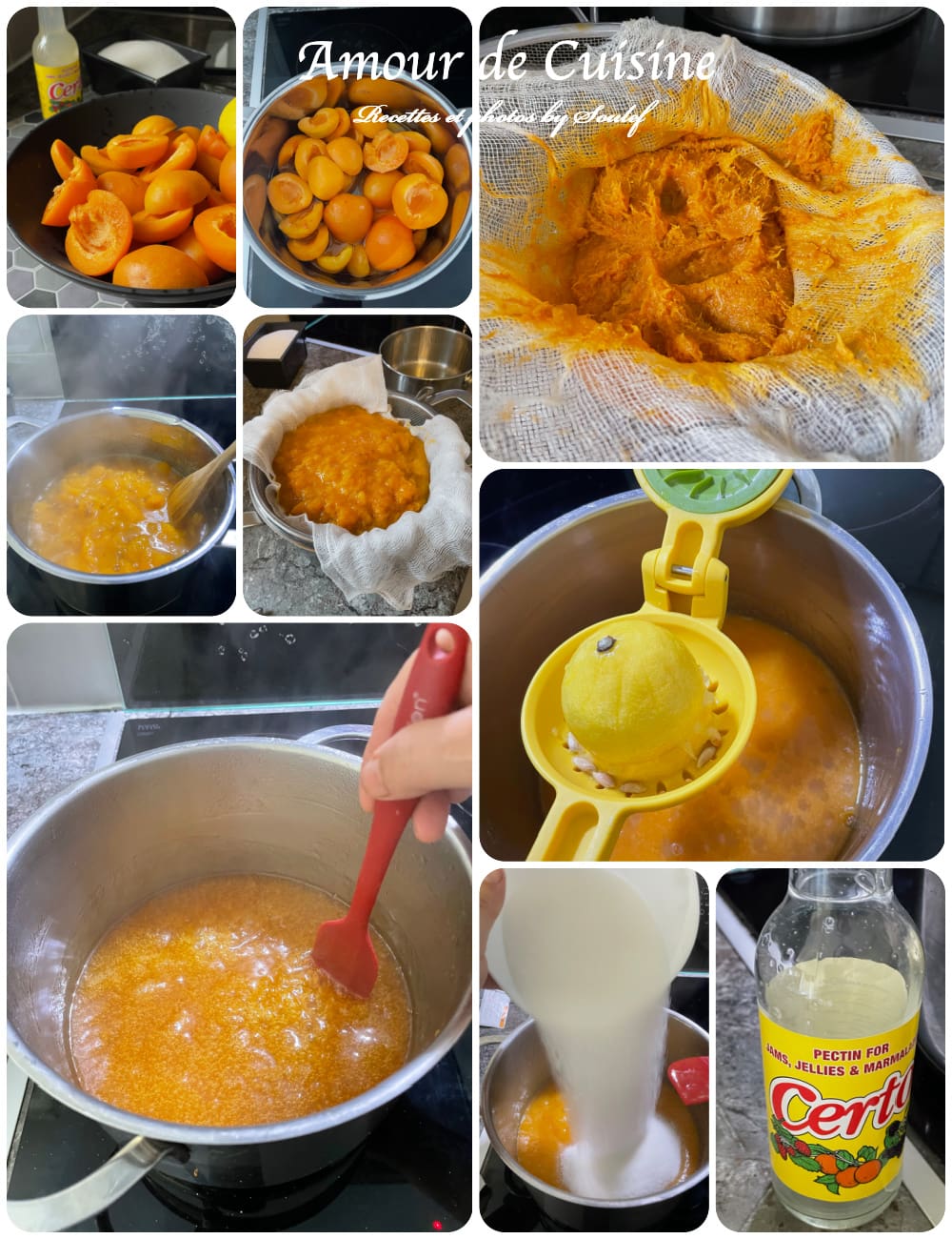 comment préparer la gelée d'abricot