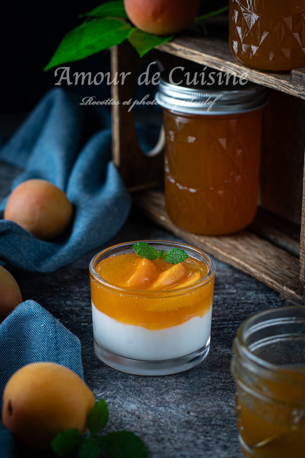 recette gelee d'abricots facile
