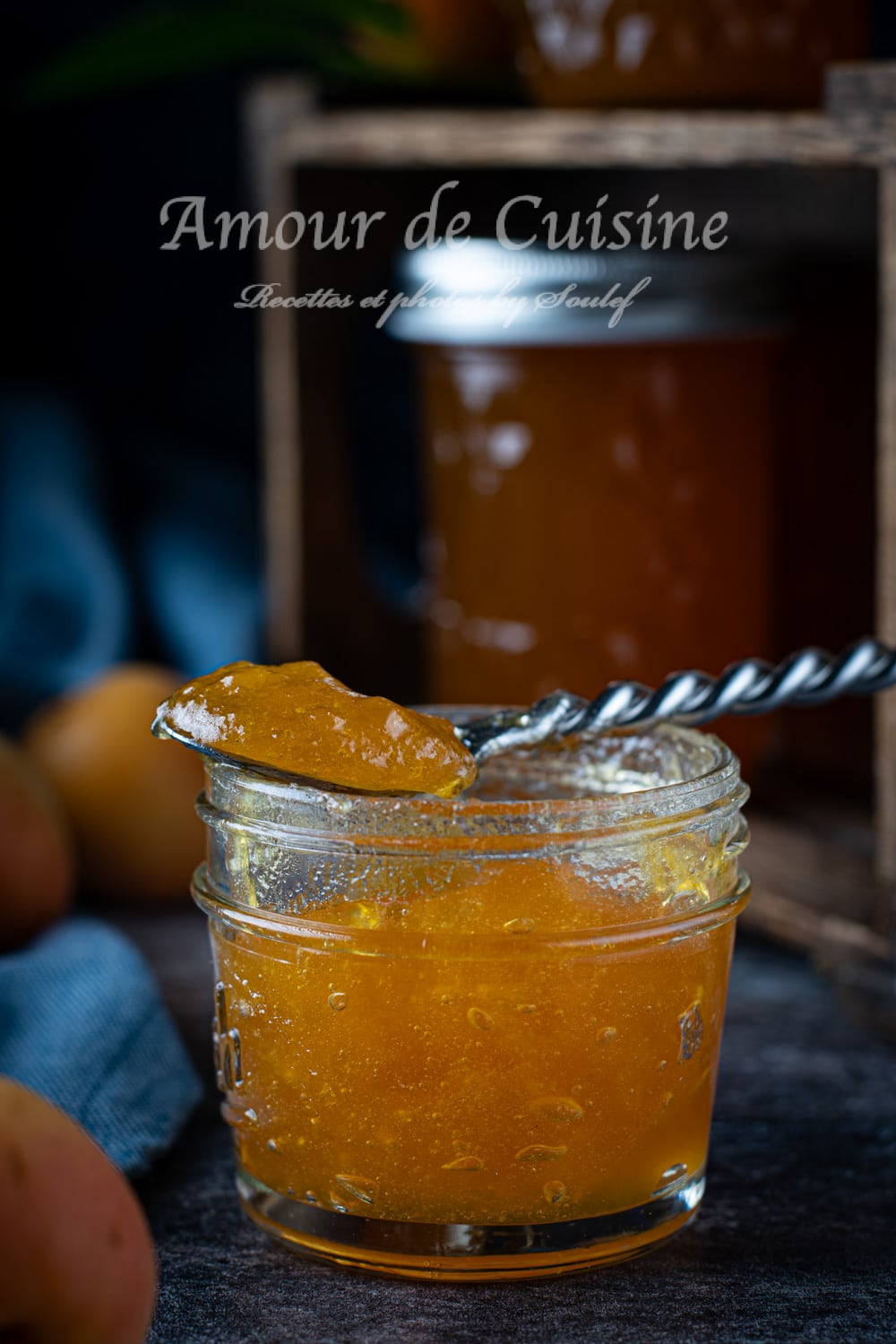 recette gelee d'abricots maison