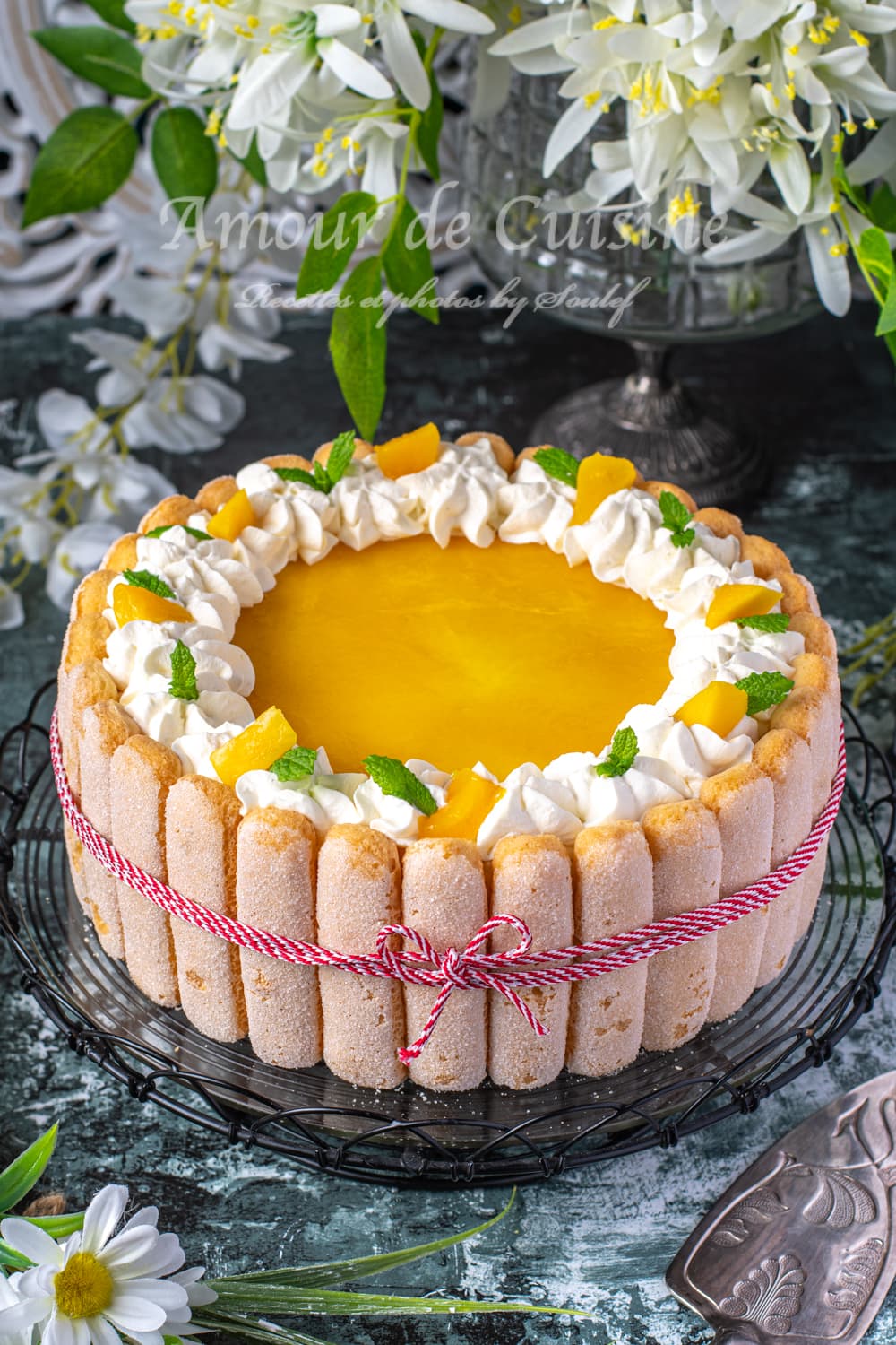 Charlotte à la mangue, recette facile