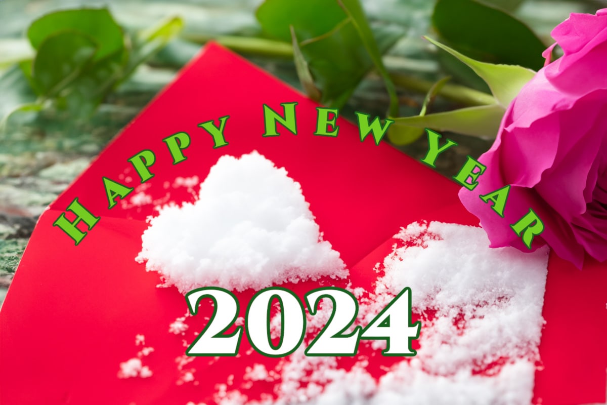 Happy new year, Bonne année 2024