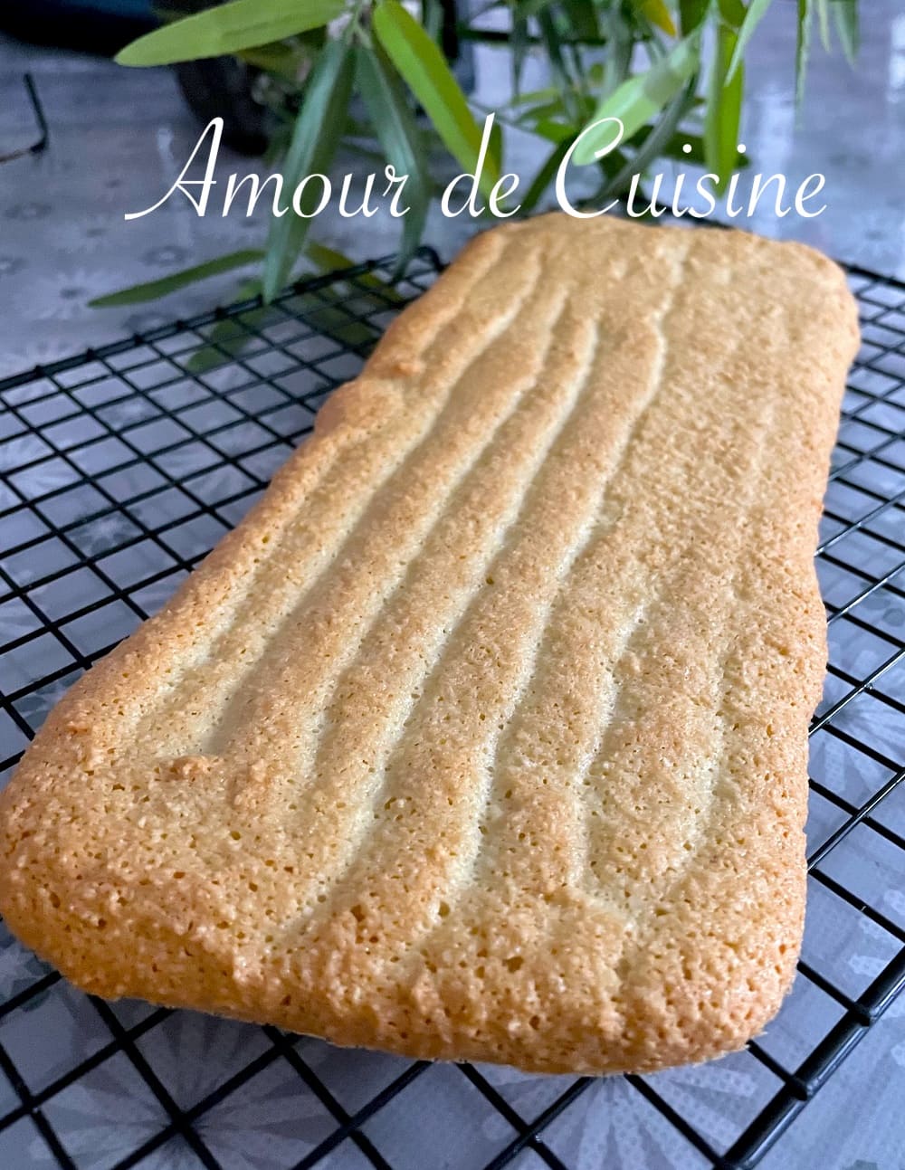 dacquoise aux amandes