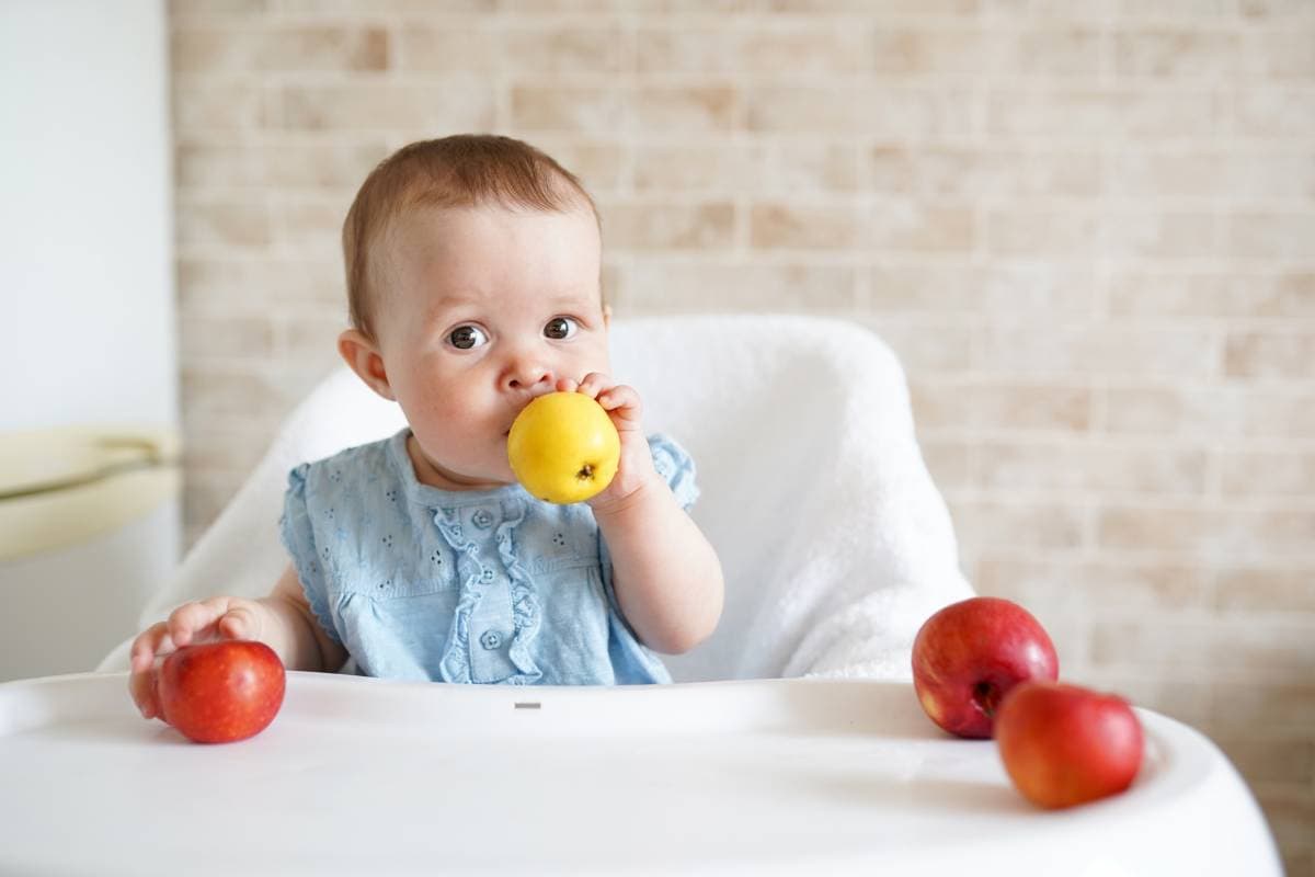 diversification alimentaire bébé