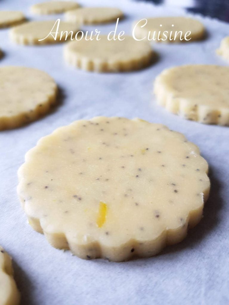 Close-up of unbaked lemon poppy seed shortbread dough, cut into scalloped rounds and arranged on a baking sheet lined with parchment paper.