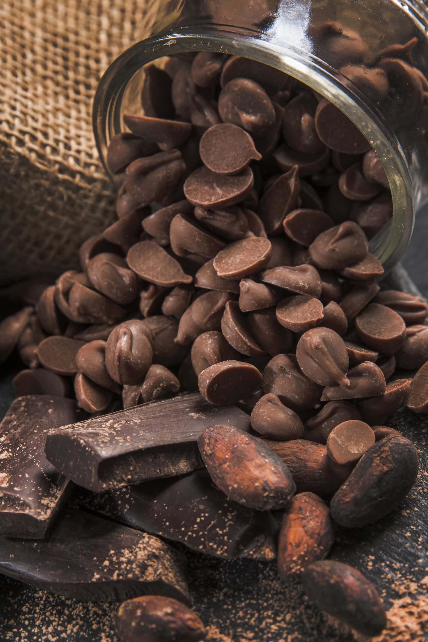 chocolat noir et cacao