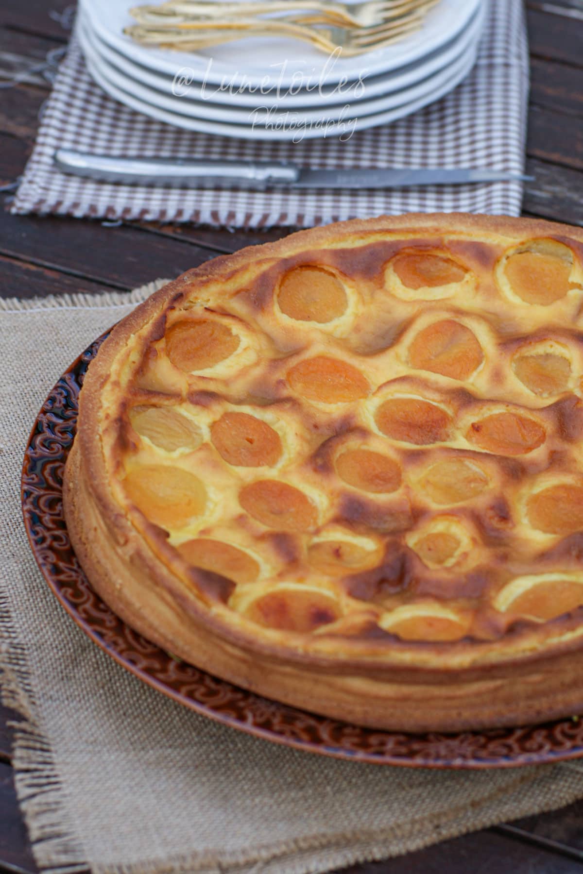 Tarte aux abricots à la crème pâtissière cuite au four, dorée et servie sur une assiette rustique