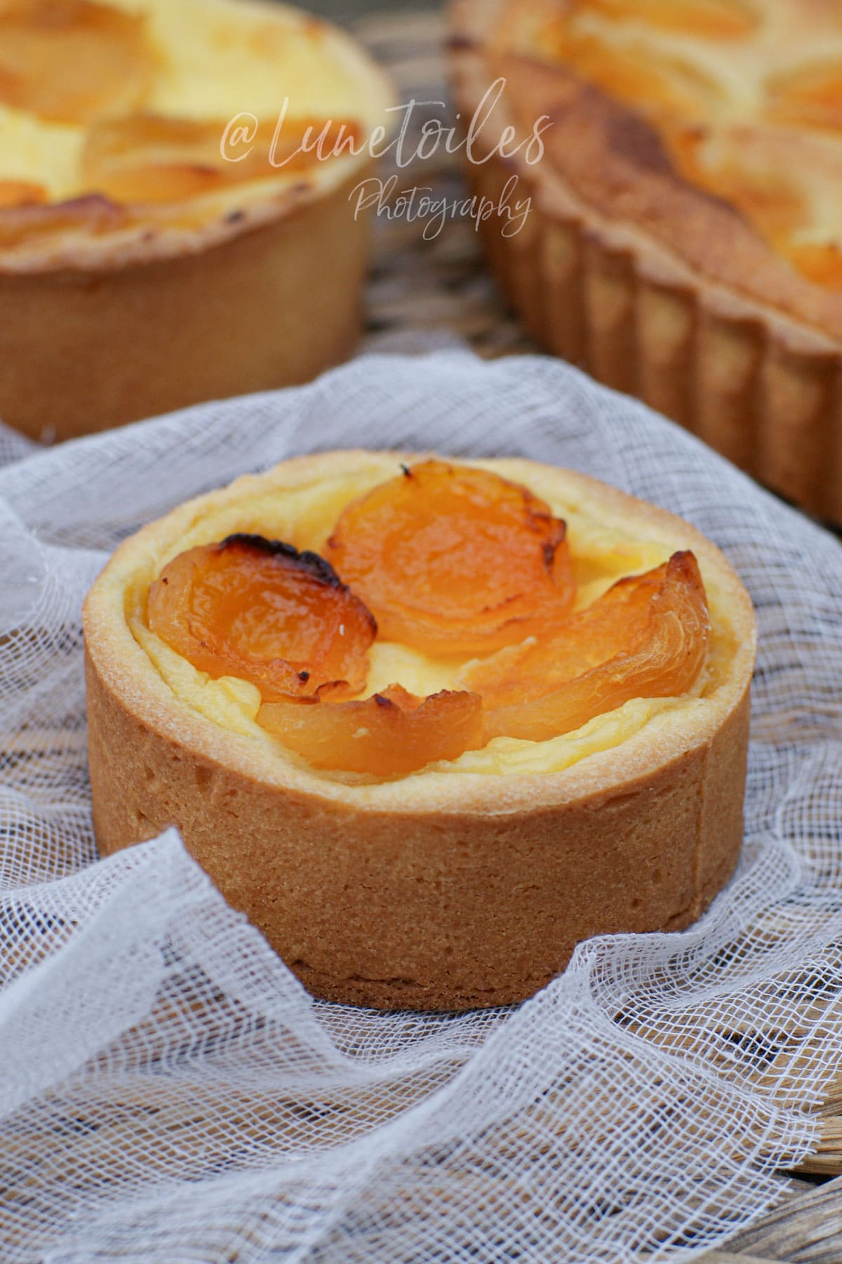 tarte aux abricots creme patissiere