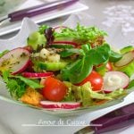 Fattoush Salad-fattouche salade libanaise au pain grille