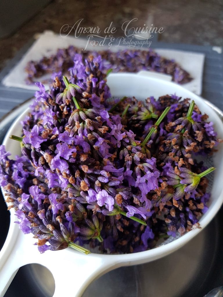 Freshly harvested lavender flowers placed in a white strainer, showcasing vibrant purple buds and stems, with more lavender drying on a tray in the blurred background.