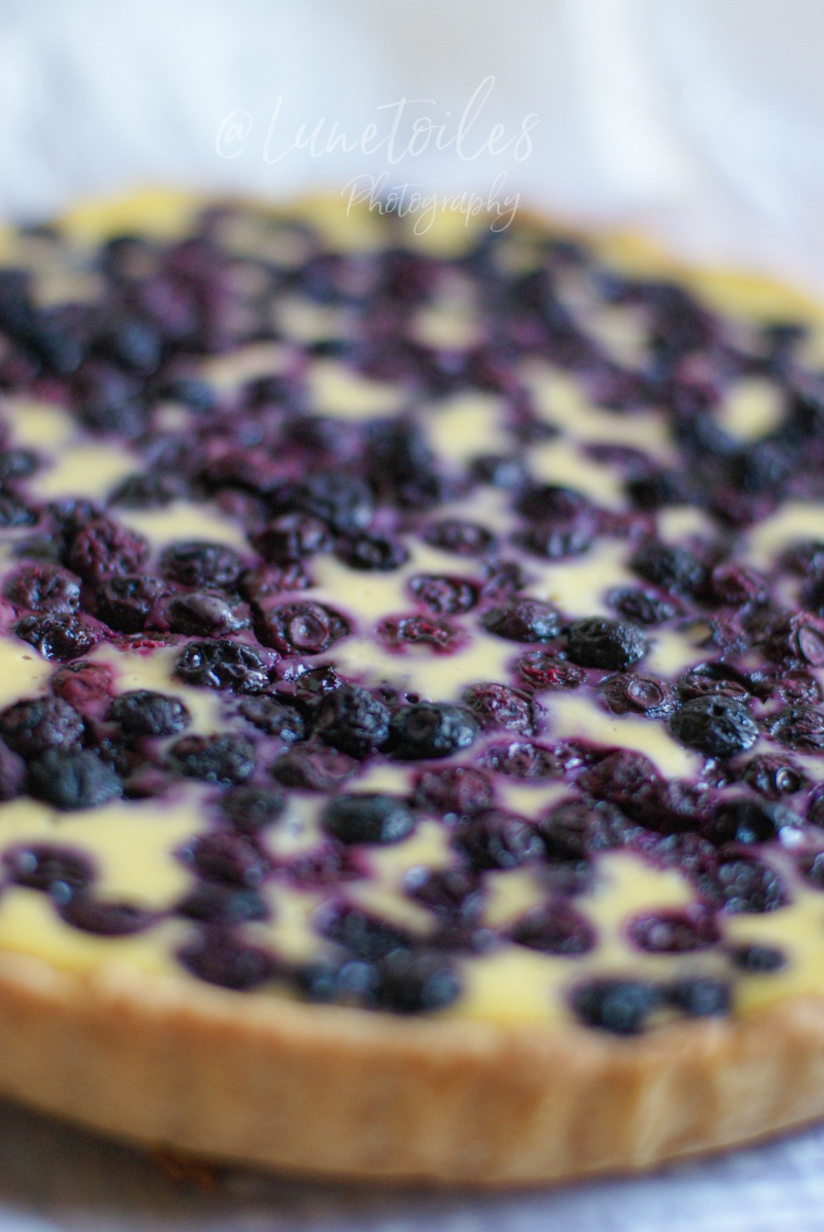Gros plan d’un cheesecake aux myrtilles : surface généreusement couverte de fruits, avec des marbrures violettes dans l’appareil crémeux et un bord de pâte doré, sur fond flou en lumière douce.