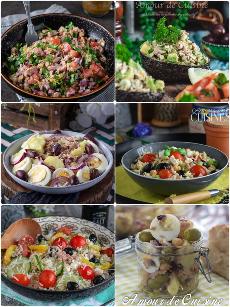 Montage de six idées de salades au thon : bol de thon tomate oignon et herbes, avocat farci au thon, salade pommes de terre œufs et olives, salade de pâtes au thon, riz aux légumes et thon, et salade en bocal pour lunch box.