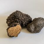 la truffe noire