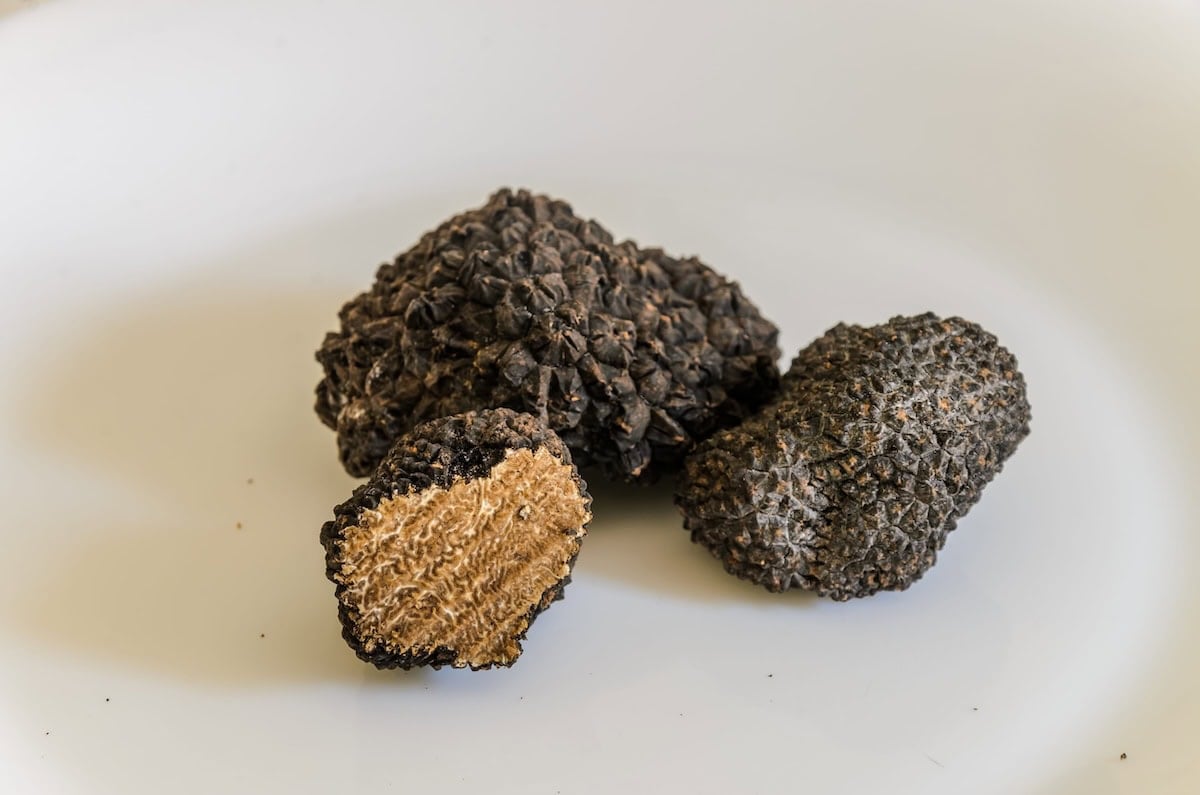 la truffe noire