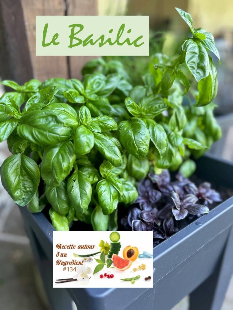 Recettes au basilic