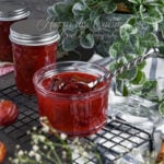 confiture de prunes au thermomix