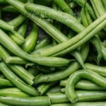 haricots verts frais