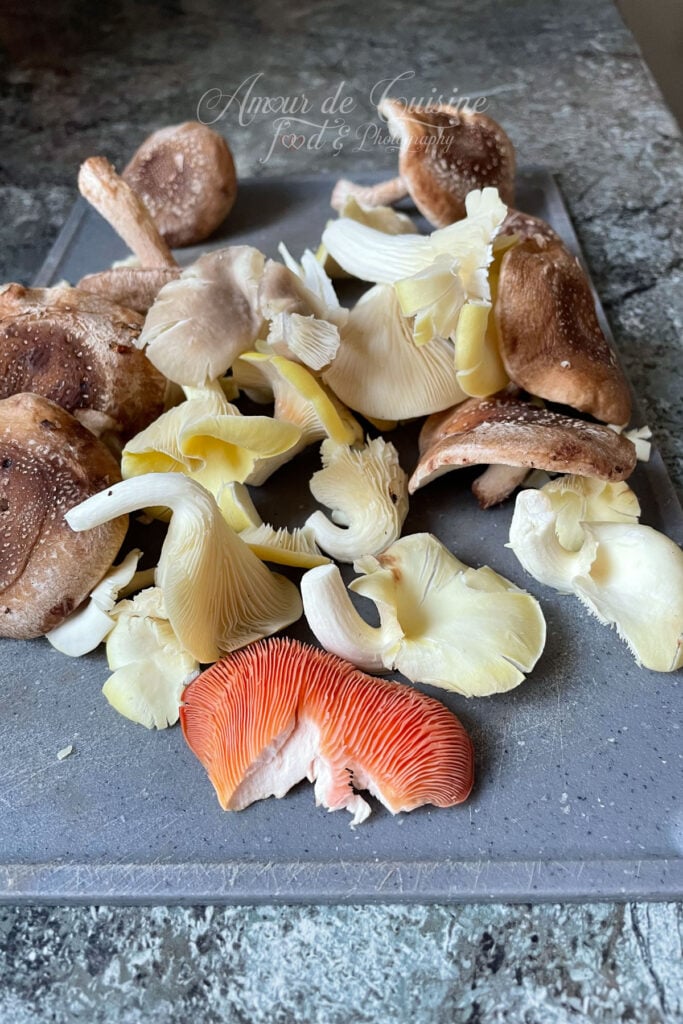 champignons sylvestres